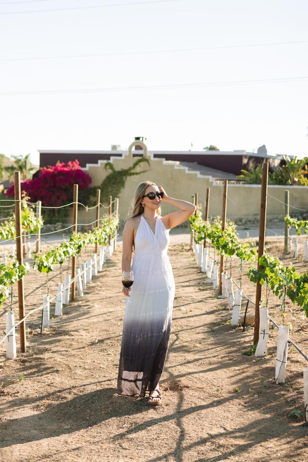 Sol Del Valle Valle de Guadalupe Extérieur photo